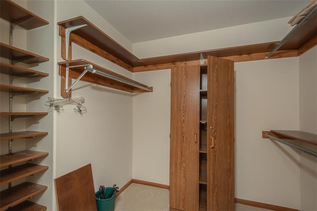 view of walk in closet