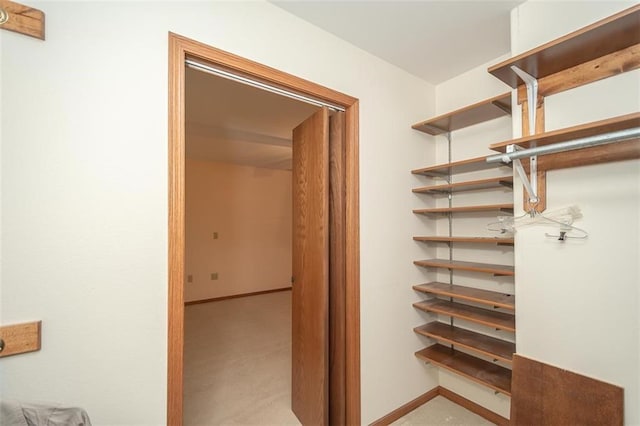 spacious closet with carpet flooring