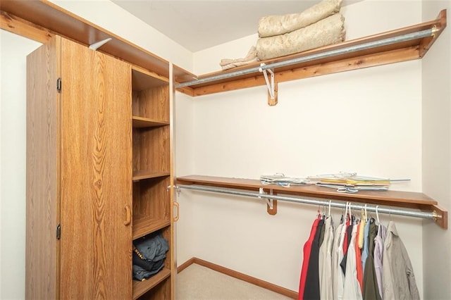 walk in closet with carpet floors