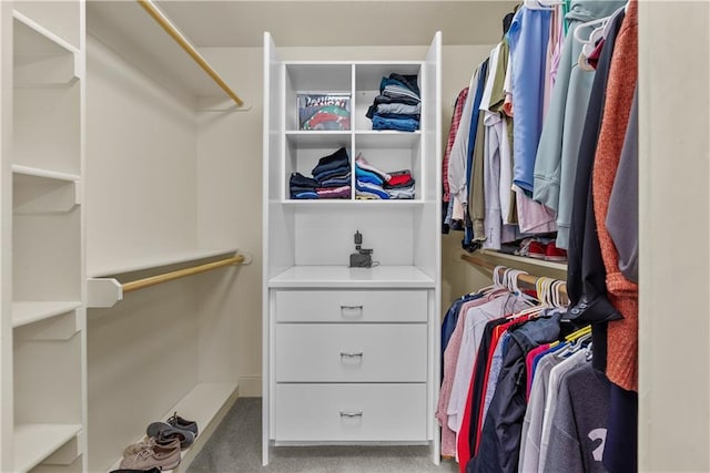 3610 NE Basswood Dr, Lees Summit, MO 64064 - spacious closet featuring carpet