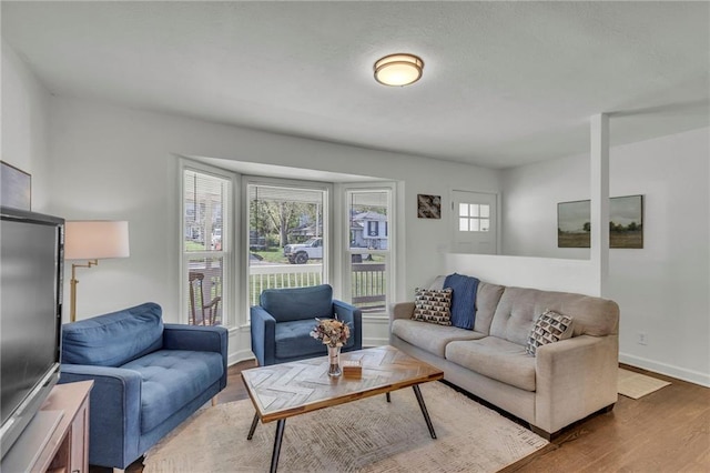 living room with baseboards and wood finished floors