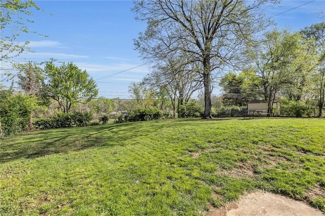 view of yard