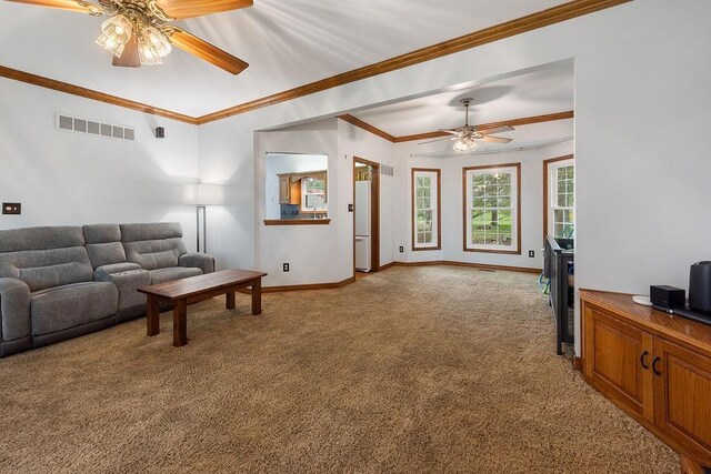 1330 N Lake City Valley Rd, Buckner, MO 64056 - photo 8