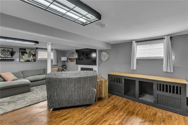 living area featuring wood finished floors