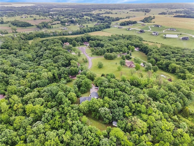1619 Sunrise Dr, Smithville, MO 64089 - photo 50