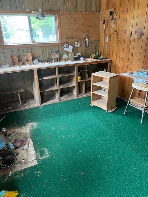 miscellaneous room with wooden walls and carpet