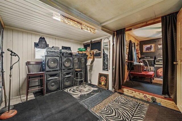 6425 N Edison Ave, Kansas City, MO 64151 - laundry area featuring wood walls and carpet