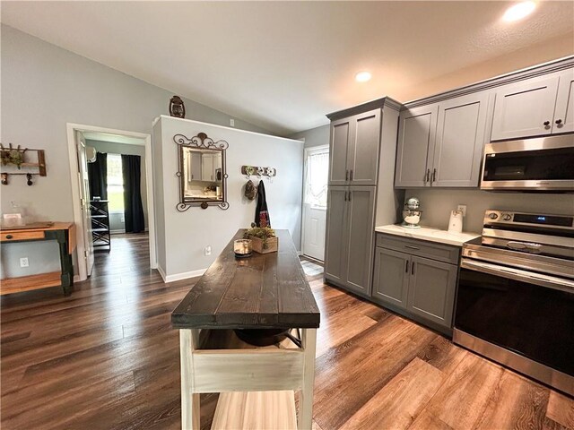 58 E Sugar Lake Cv, Mound City, KS 66056 - kitchen featuring lofted ceiling, dark wood-style flooring, stainless steel appliances, and gray cabinets