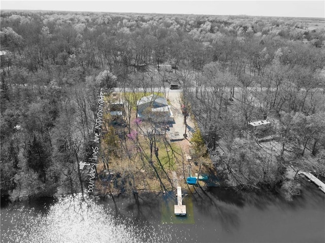 58 E Sugar Lake Cv, Mound City, KS 66056 - aerial view with a water view and a view of trees