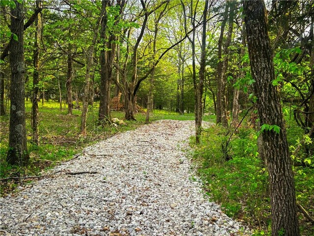 58 E Sugar Lake Cv, Mound City, KS 66056 - view of road with a view of trees