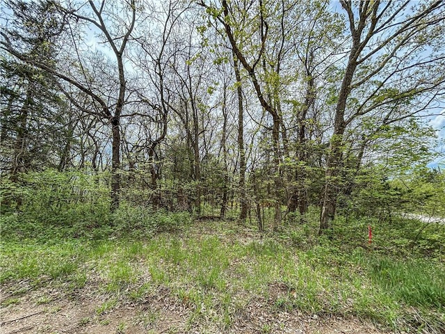 58 E Sugar Lake Cv, Mound City, KS 66056 - view of landscape featuring a view of trees