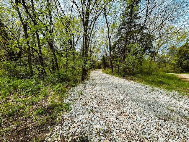 58 E Sugar Lake Cv, Mound City, KS 66056 - view of road featuring a view of trees