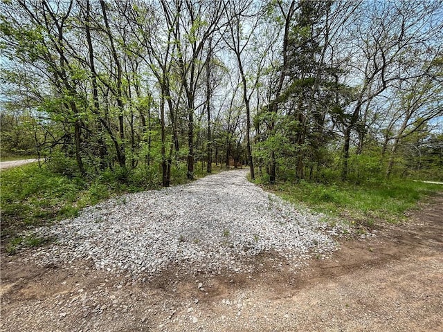 58 E Sugar Lake Cv, Mound City, KS 66056 - view of road featuring a forest view