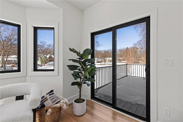 doorway featuring baseboards, wood finished floors, and a healthy amount of sunlight