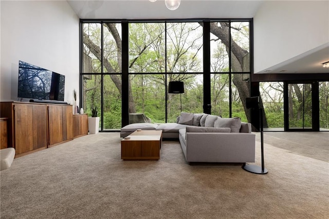 living area featuring carpet flooring and floor to ceiling windows