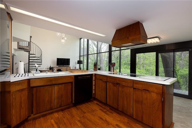 kitchen with a wealth of natural light, custom exhaust hood, a peninsula, light countertops, and dishwasher