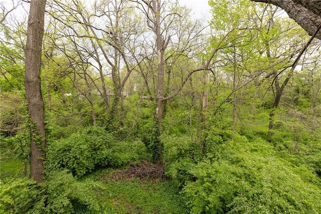 view of landscape featuring a wooded view