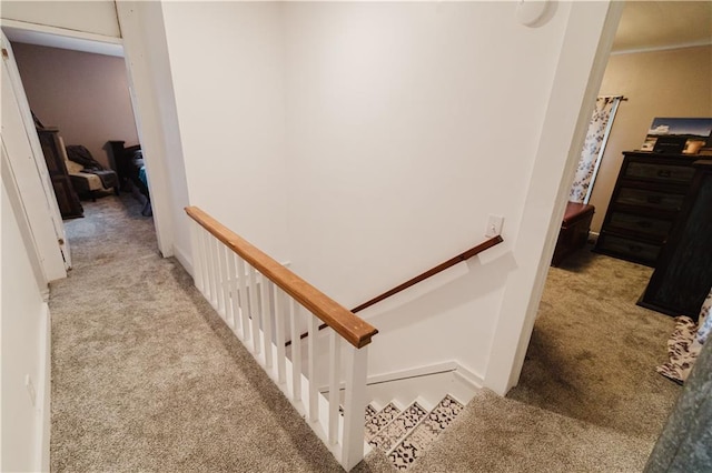 stairs with carpet flooring