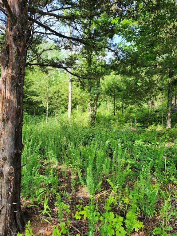 158 Greentree Rdg, Mound City, KS 66056 - photo 2
