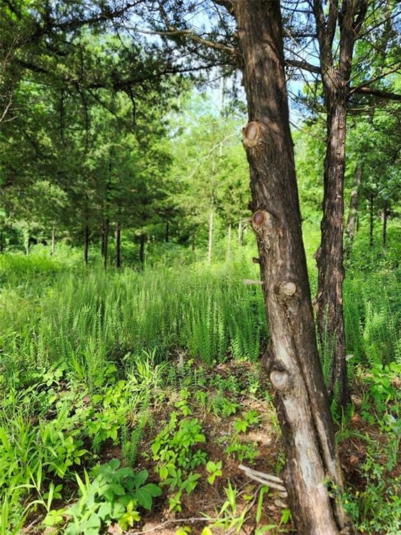 158 Greentree Rdg, Mound City, KS 66056 - photo 3