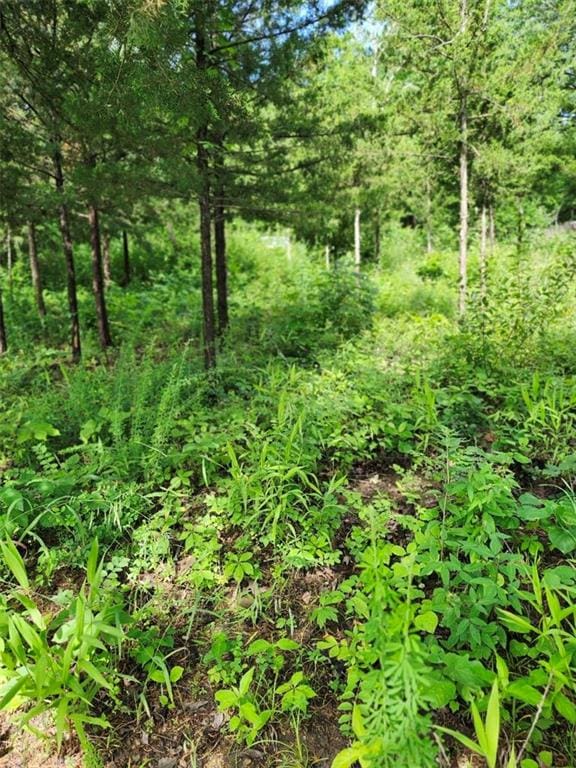 158 Greentree Rdg, Mound City, KS 66056 - photo 4