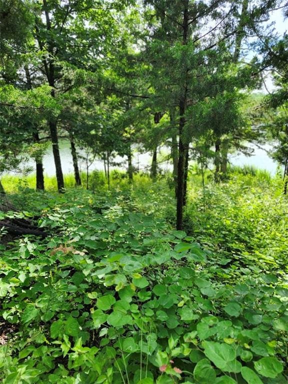 158 Greentree Rdg, Mound City, KS 66056 - photo 5