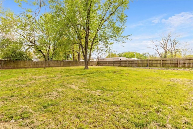view of yard featuring a fenced backyard