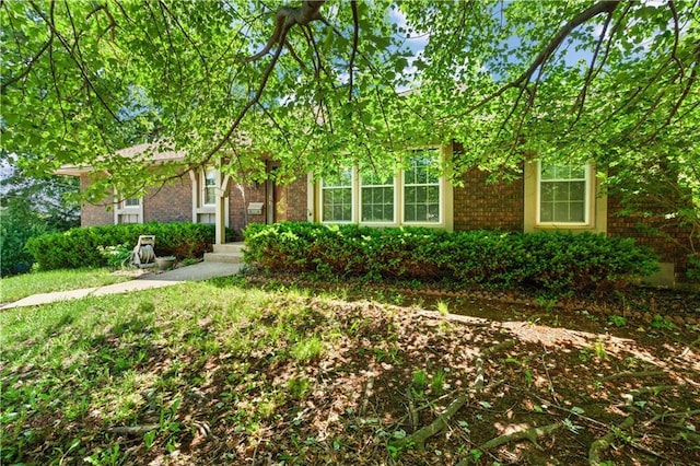 3311 S Crane St, Independence, MO 64055 - view of property hidden behind natural elements with brick siding