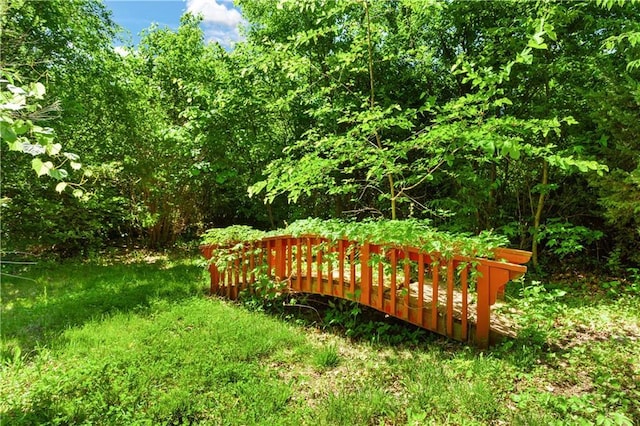 3311 S Crane St, Independence, MO 64055 - view of yard