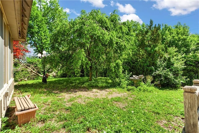 3311 S Crane St, Independence, MO 64055 - view of yard