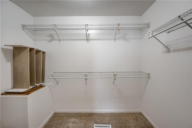 spacious closet with carpet and visible vents