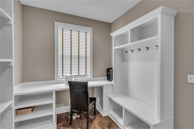 25203 W 97th Ter, Lenexa, KS 66227 - mudroom featuring dark wood-style floors and plenty of natural light
