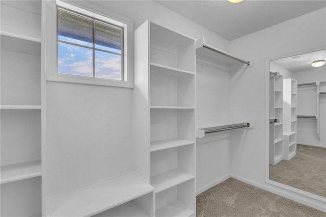 25203 W 97th Ter, Lenexa, KS 66227 - walk in closet with carpet