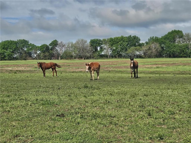 11148 W 1150th Rd, Mound City, KS 66056 - photo 15