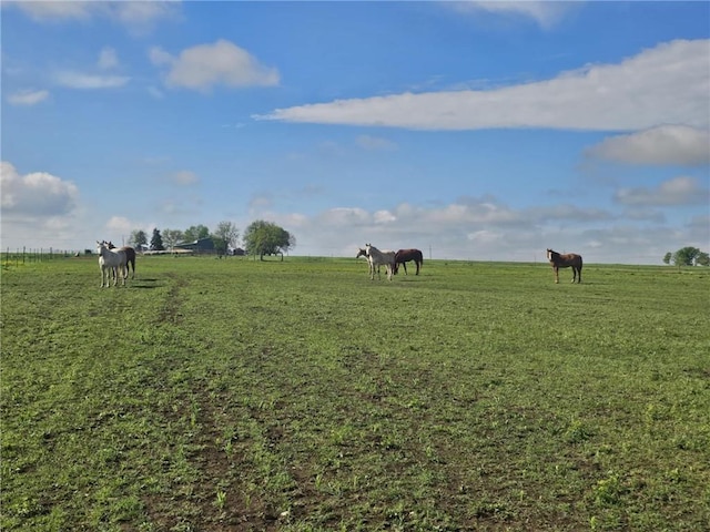 11148 W 1150th Rd, Mound City, KS 66056 - photo 24