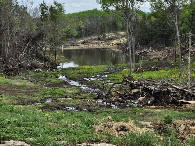 11148 W 1150th Rd, Mound City, KS 66056 - photo 29