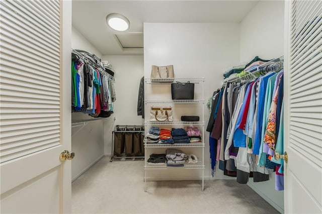 spacious closet with carpet flooring and attic access