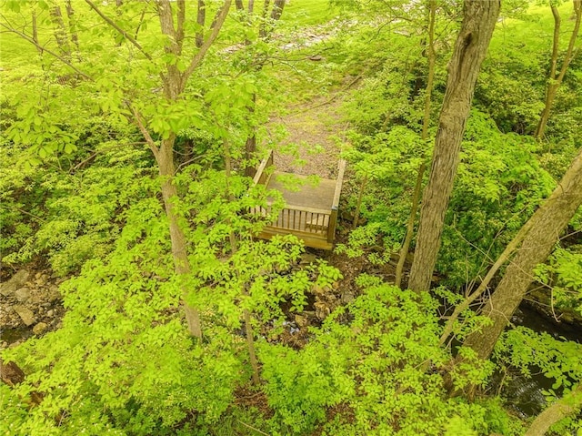 view of subject property with a heavily wooded area