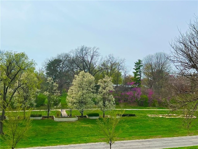 view of community with a lawn