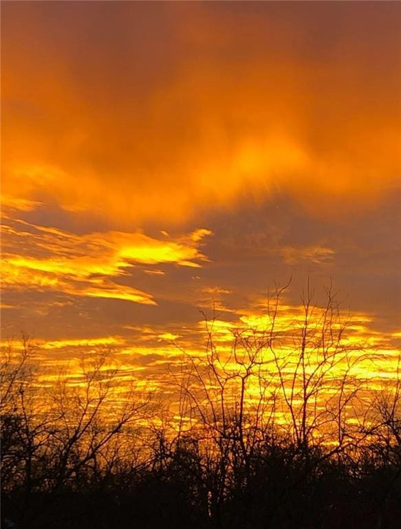 view of nature at dusk