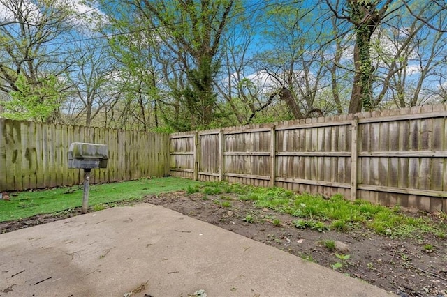 view of yard with a patio and a fenced backyard