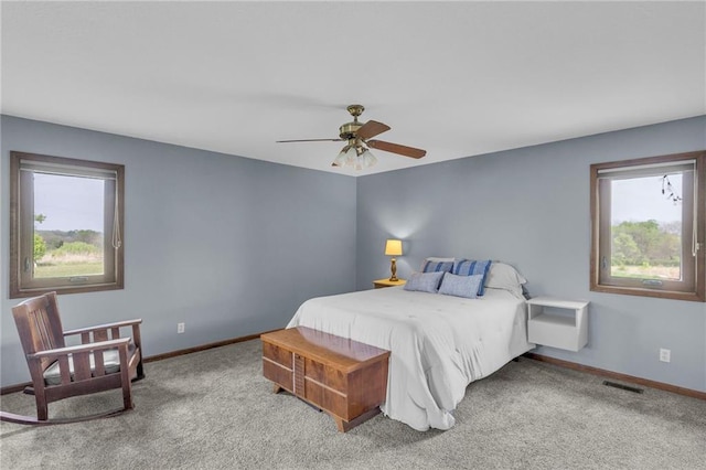 205 N 1700th Rd, Lecompton, KS 66050 - carpeted bedroom with multiple windows, baseboards, and ceiling fan