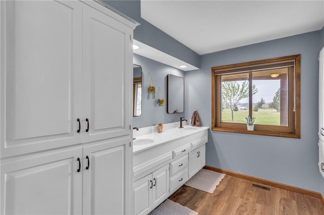 205 N 1700th Rd, Lecompton, KS 66050 - bathroom featuring double vanity, baseboards, wood finished floors, and recessed lighting