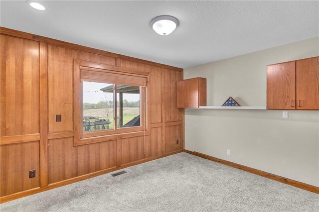 205 N 1700th Rd, Lecompton, KS 66050 - spare room featuring baseboards, wood walls, and carpet