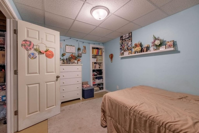 205 N 1700th Rd, Lecompton, KS 66050 - carpeted bedroom featuring a paneled ceiling