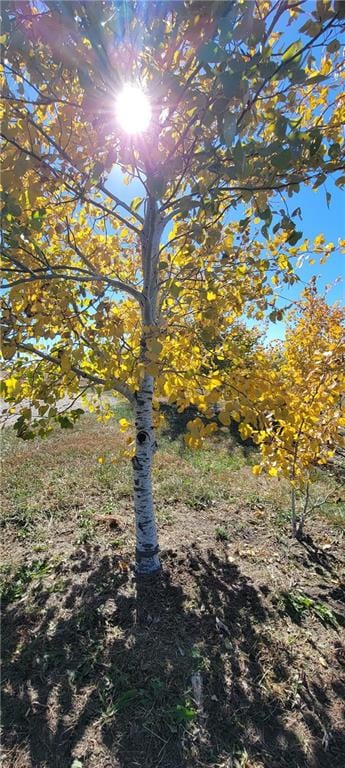 205 N 1700th Rd, Lecompton, KS 66050 - view of nature