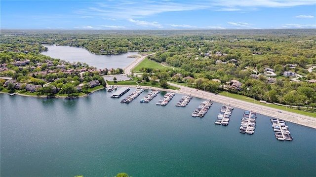 5484 NE Northgate Xing, Lees Summit, MO 64064 - bird's eye view of a nearby body of water, a marina, and a heavily wooded area