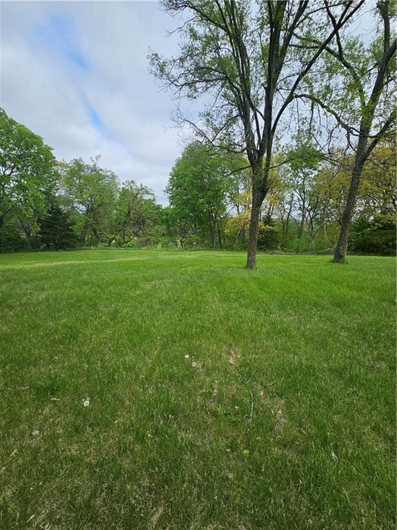 30740 W 83rd St, De Soto, KS 66018 - view of yard