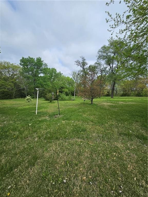 30740 W 83rd St, De Soto, KS 66018 - view of yard