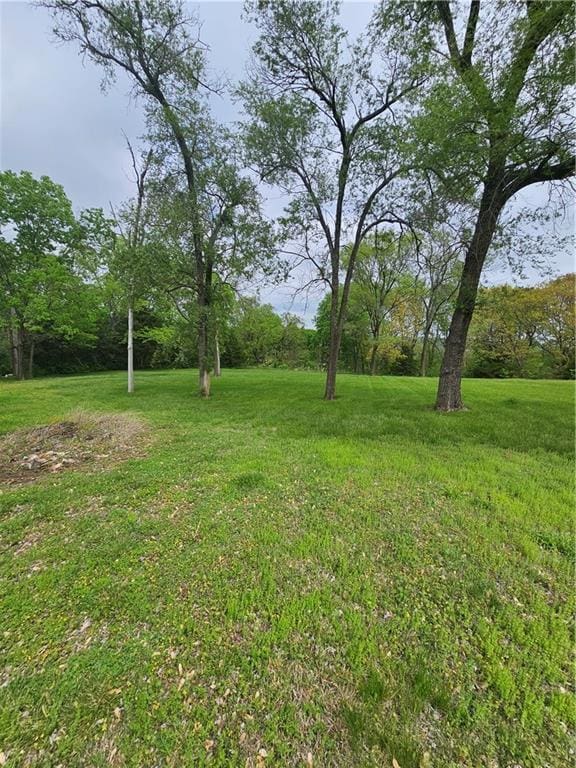 30740 W 83rd St, De Soto, KS 66018 - view of yard